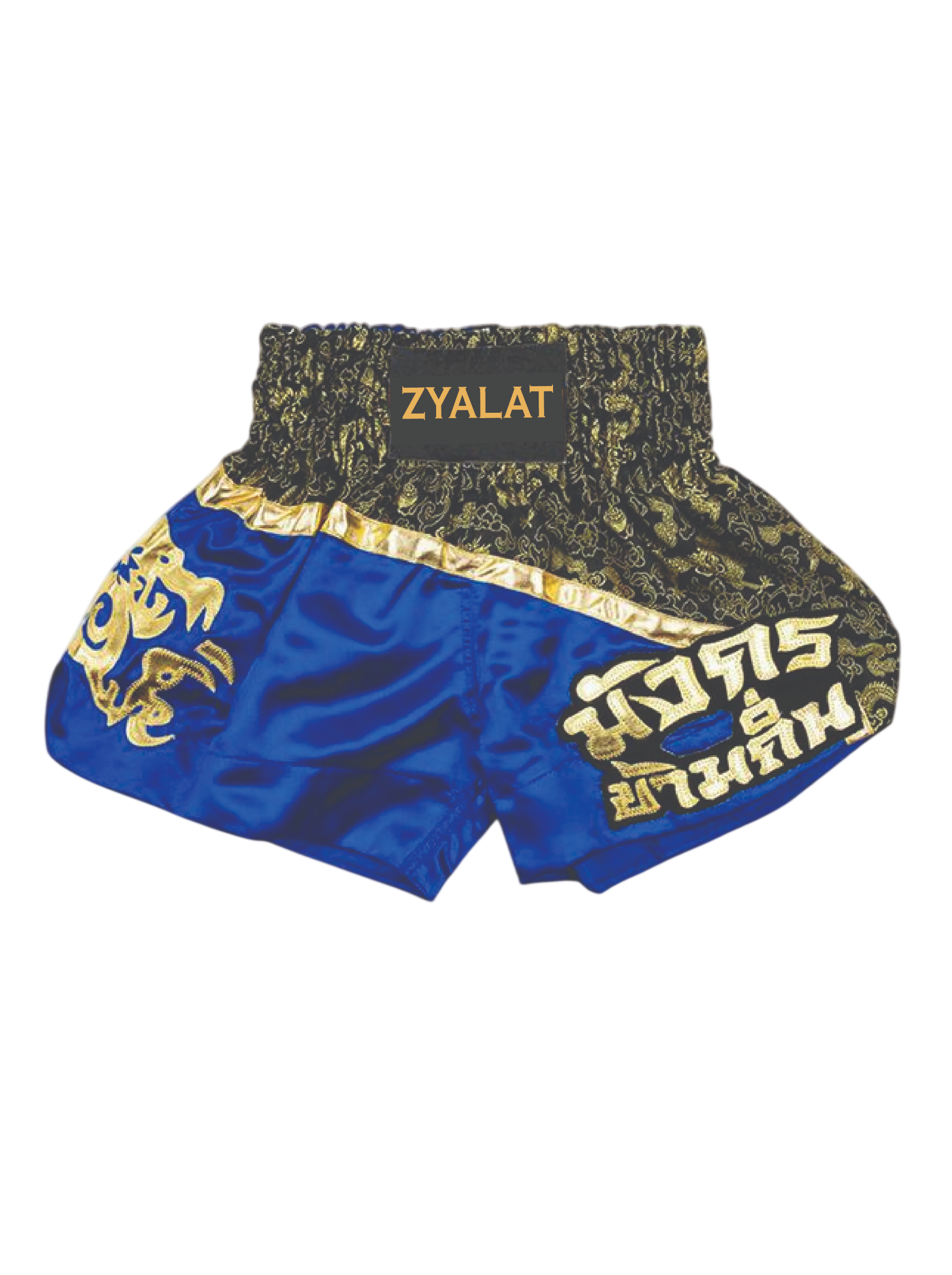 ZYLT T-2 Boxing Trunk ZYLT T-2 Boxing Trunk