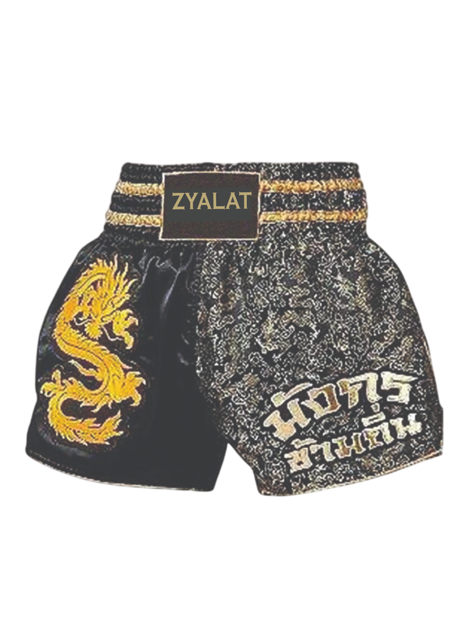 ZYLT T-4 Boxing Trunk ZYLT T-4 Boxing Trunk