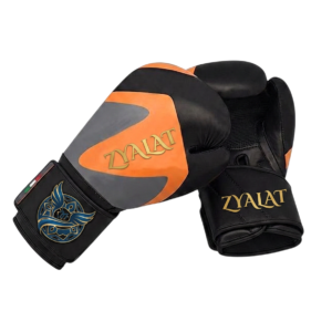 ZYLT Core 6 Boxing Gloves