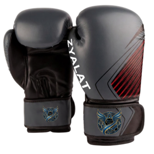 ZYLT Core 1 Boxing Gloves